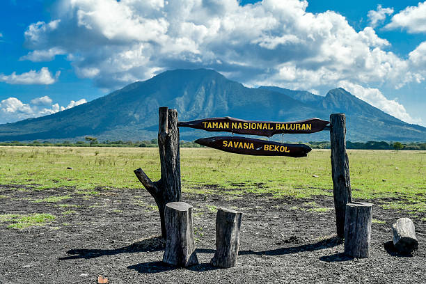 Taman Nasional Baluran