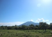 Eksplorasi Alam Liar di Taman Nasional Baluran