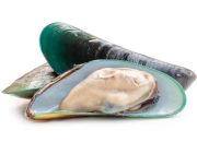 Kandungan Gizi Kerang Hijau dan Manfaatnya untuk Tubuh