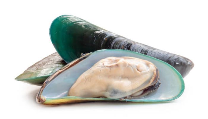 Kandungan Gizi Kerang Hijau dan Manfaatnya untuk Tubuh