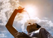 Gelombang Panas dan Dampaknya pada Penuaan Biologis