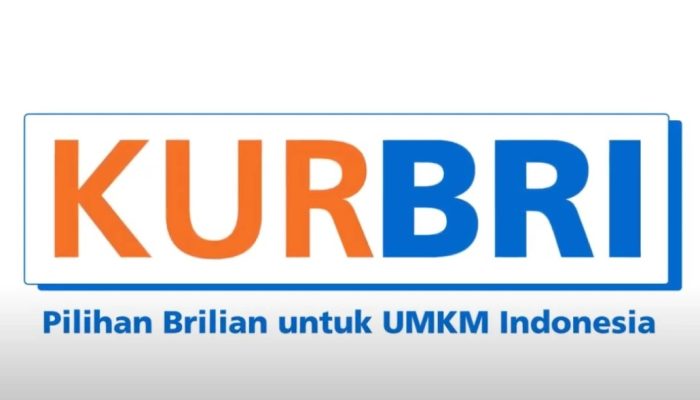 Simulasi Cicilan KUR BRI 2025: Panduan Lengkap untuk UMKM