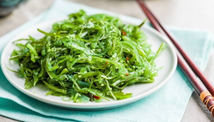 Rahasia Nutrisi Rumput Laut: Superfood yang Mendunia