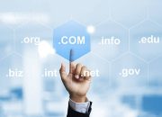 Cara Mudah Mencari Expired Domain Berkualitas