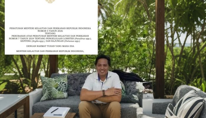 Surel Gus Lilur Direspon Presiden, Regulasi Lobster Nasional Berubah Lewat Permen KP No.5 Tahun 2026