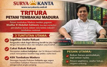 TRITURA Petani Tembakau Madura: Dari Desakan Kebijakan hingga Ancaman Tekanan Sosial-Ekonomi Nasional